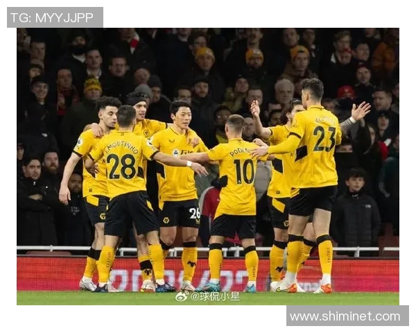 2018年桑德兰对阵狼队精彩回顾与赛季分析